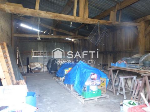 photo no. 8