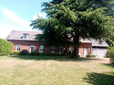 photo no. 1