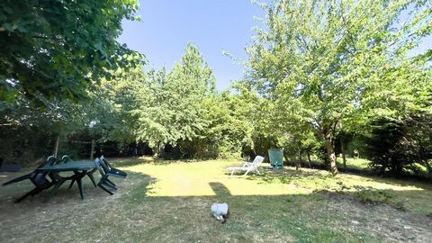 photo no. 2