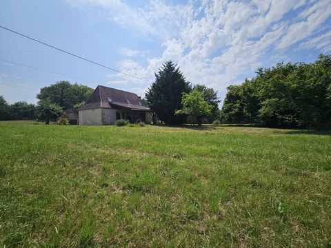 photo no. 10