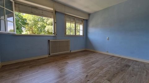 photo no. 8