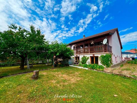 photo no. 13