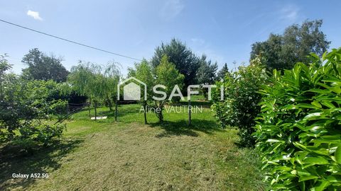 photo no. 11