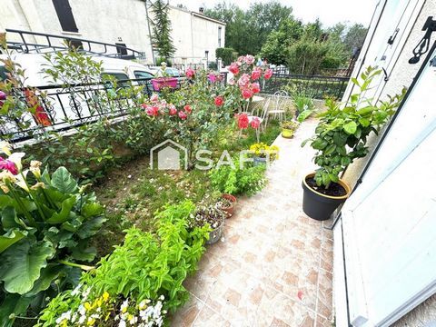 photo no. 11