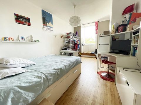 photo no. 12