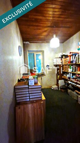 photo no. 11