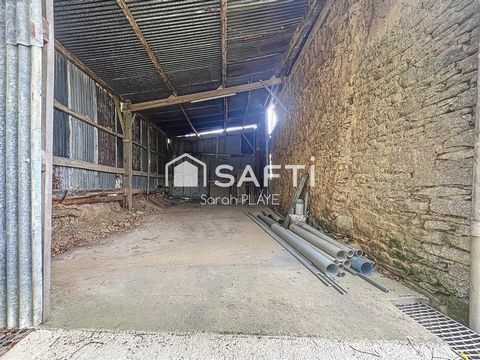 photo no. 14
