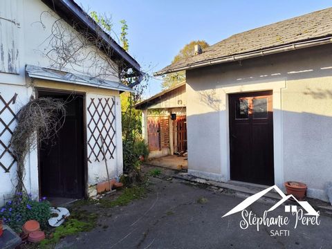 photo no. 10