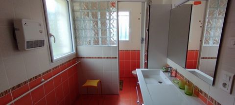 photo no. 7