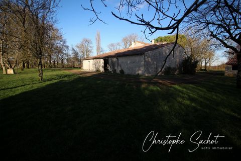 photo no. 3