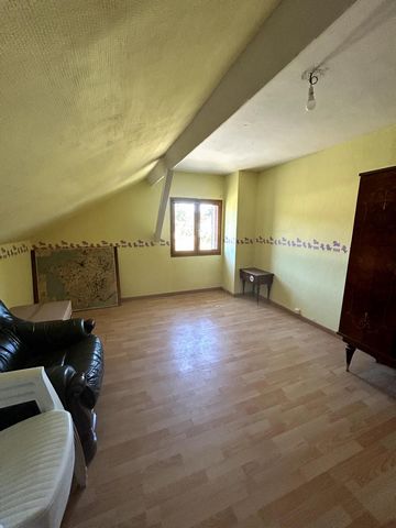 photo no. 6
