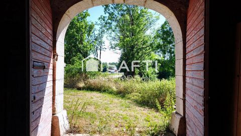 photo no. 11