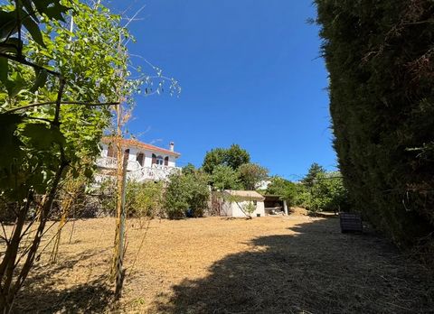 photo no. 11