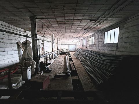 photo no. 7