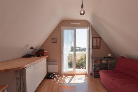 photo no. 12