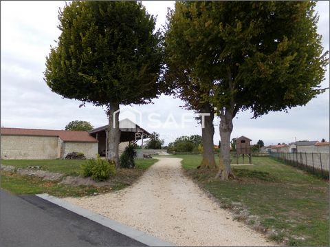 photo no. 15