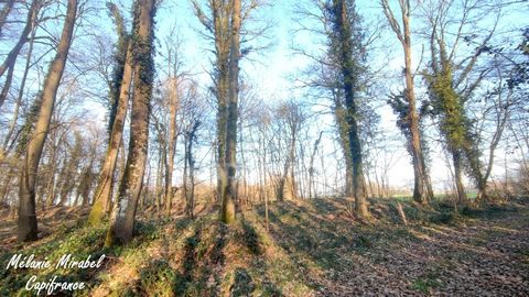Terrain de loisir à vendre SYLVAINS LES MOULINS (27)