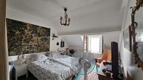 photo no. 9