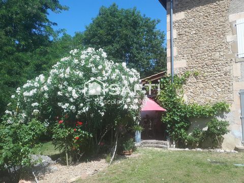 photo no. 19