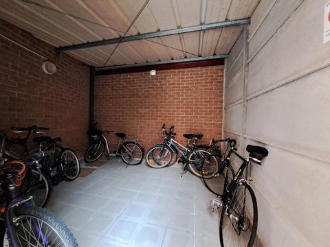 photo no. 10