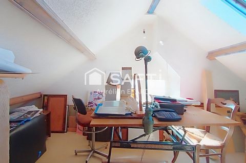 photo no. 11