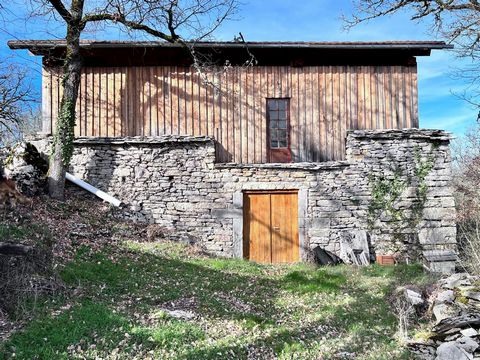 photo no. 14