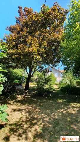 photo no. 13