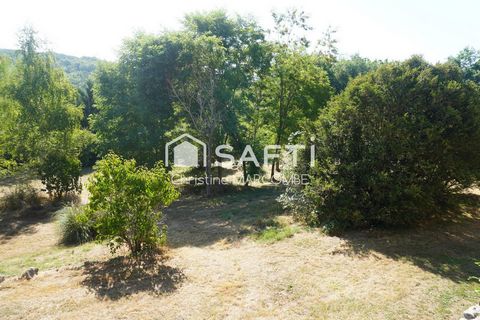 photo no. 19