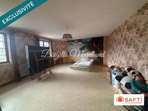 photo no. 11