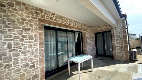 photo no. 8