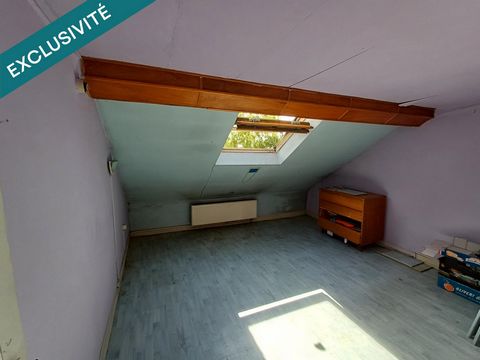 photo no. 8