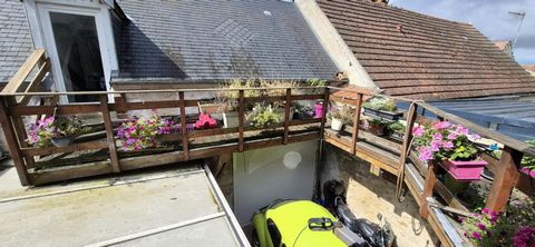photo no. 11