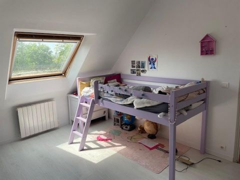 photo no. 10