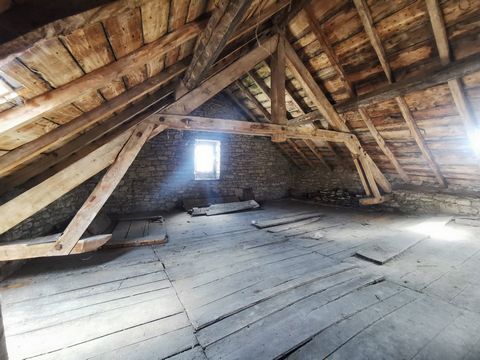 photo no. 14