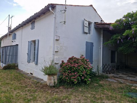 A DÉCOUVRIR SANS TARDER !