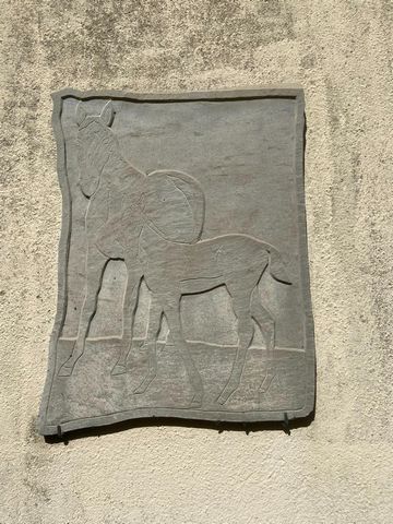 photo no. 8