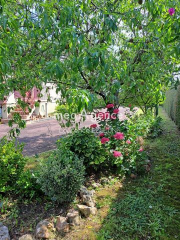 photo no. 11