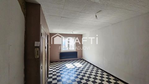 photo no. 8