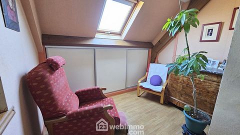 photo no. 11