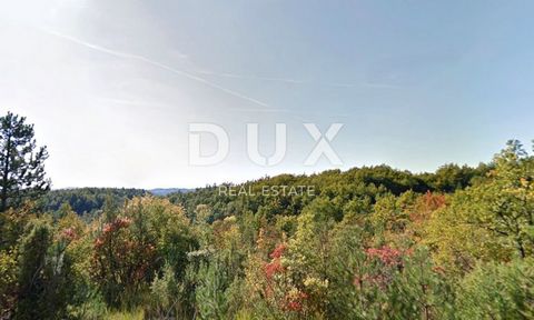 Location: Istarska županija, Cerovlje, Cerovlje. ISTRIA, CEROVLJE - Agricultural land of larger size Cerovlje is the central settlement of the spacious municipality of the same name, which stretches across the hilly landscape northeast of Pazin, and ...