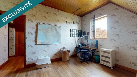 photo no. 12