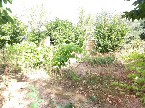 photo no. 11