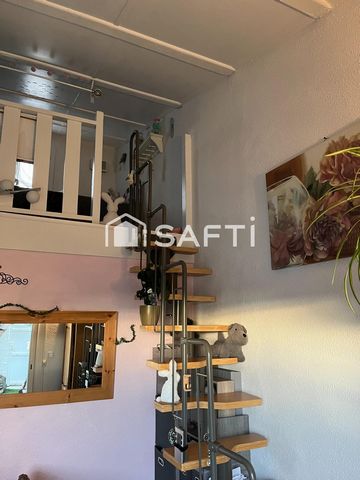 photo no. 7
