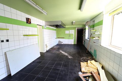 photo no. 7