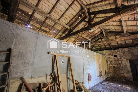 photo no. 4