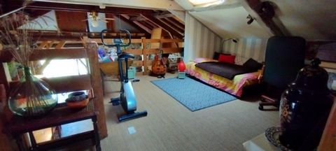 photo no. 6