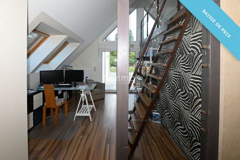 photo no. 16