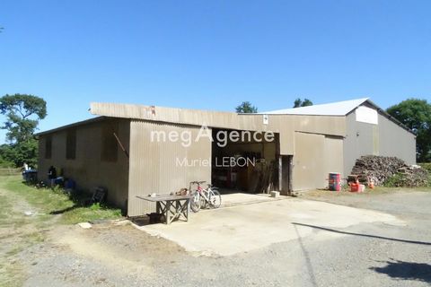 photo no. 9