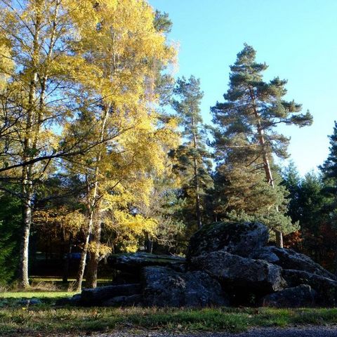 photo no. 8