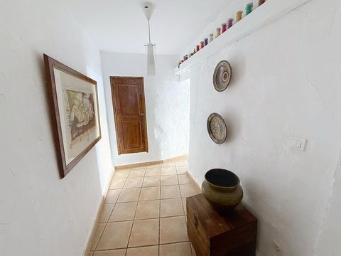 photo no. 8